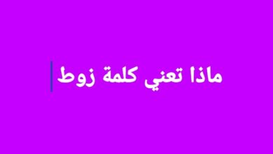 ما معنى كلمة زوط في جدة.. هل كلمة زوط كلمة سعودية؟ ما معنى كلمة زوط في جدة.. هل كلمة زوط كلمة سعودية؟
