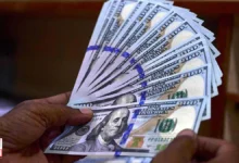 سعر الدولار الأمريكي مقابل الجنيه المصري في السوق السوداء اليوم الأربعاء 21-5-2025