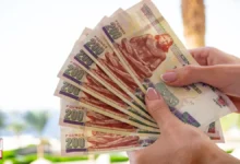 البنك المركزي المصري يترقب اجتماع أسعار الفائدة وسط توقعات بالخفض