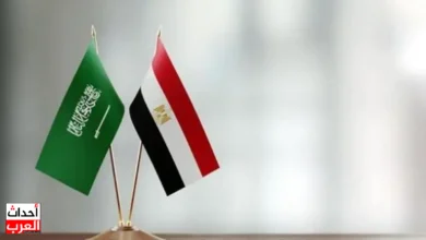 تشكيل مجلس تنسيق أعلى بين مصر والسعودية... السيسي يُصدر القرار الرسمي علما مصر والسعودية