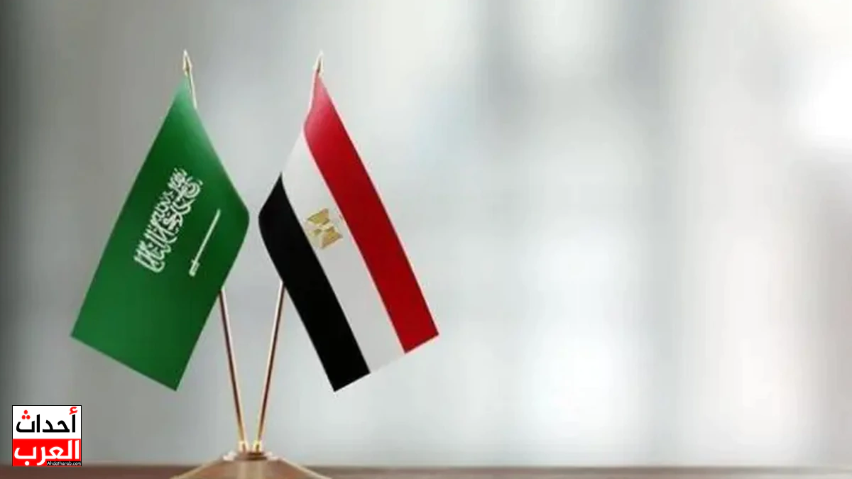 تشكيل مجلس تنسيق أعلى بين مصر والسعودية... السيسي يُصدر القرار الرسمي علما مصر والسعودية