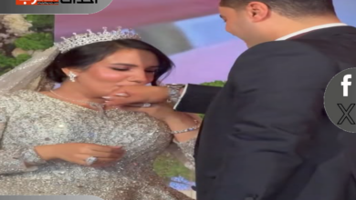 زوجة سامح ابو الوفا ويكيبيديا زوجة سامح ابو الوفا ويكيبيديا